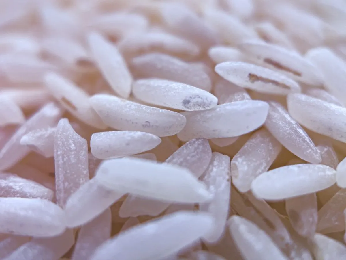 rice grains